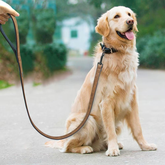 Pets Collar 