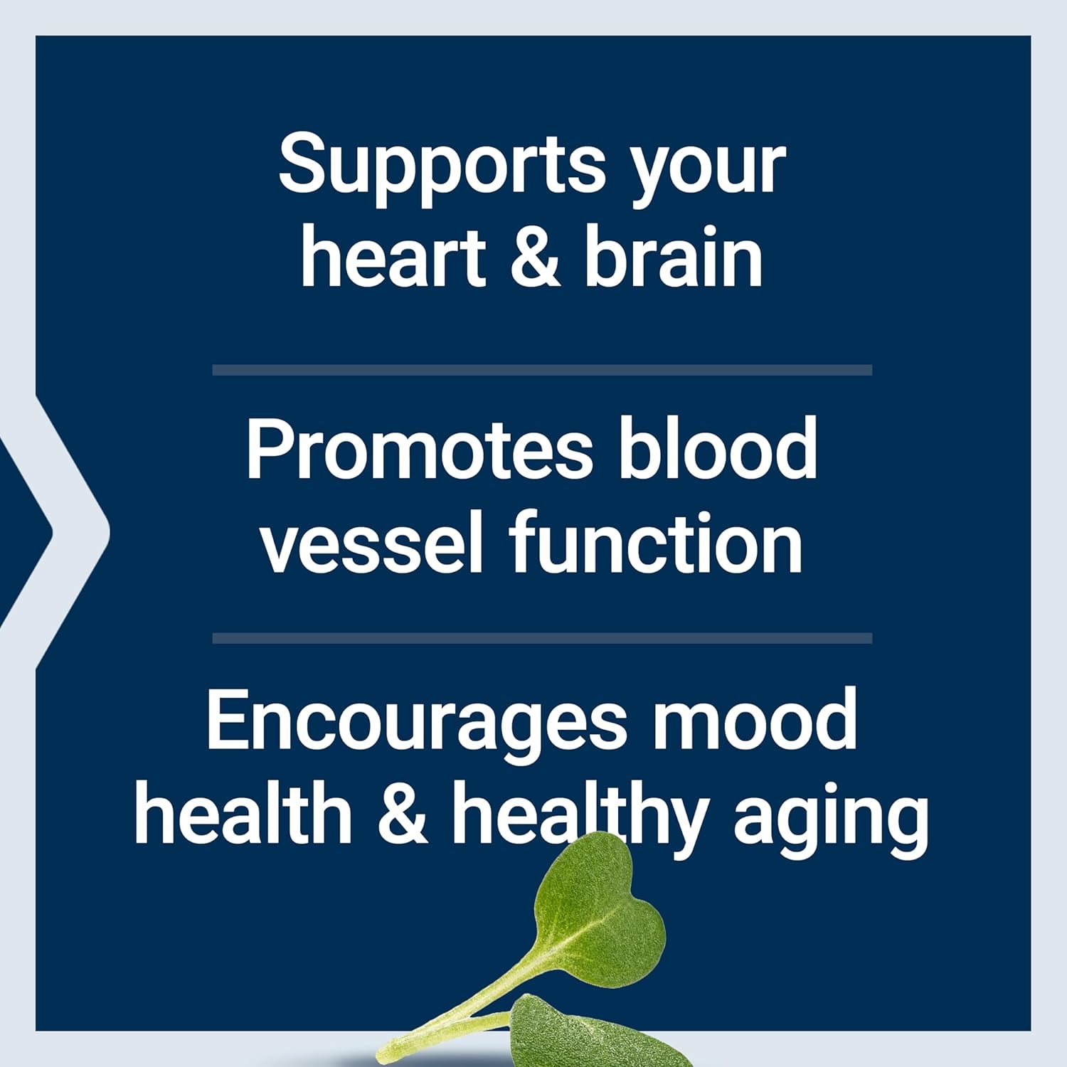 Super Omega-3 EPA/DHA Fish Oil, Sesame Lignans & Olive Extract – Heart Health, Brain Health, Inflammation Health Support, Cholesterol Health Support, Gluten-Free, Non-Gmo, 60 Softgels