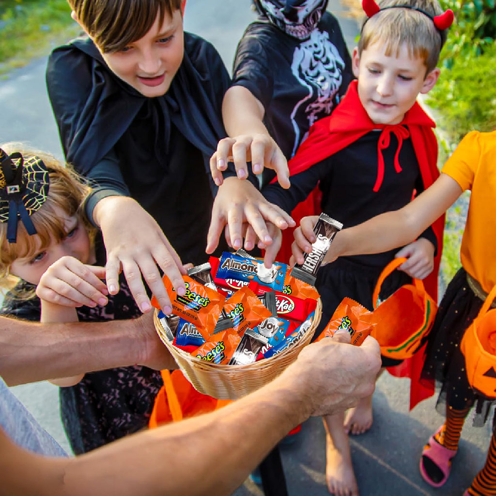 Halloween Bulk Candy Variety Pack 250 Ct, 5 lb - Fun Size Chocolate Bars