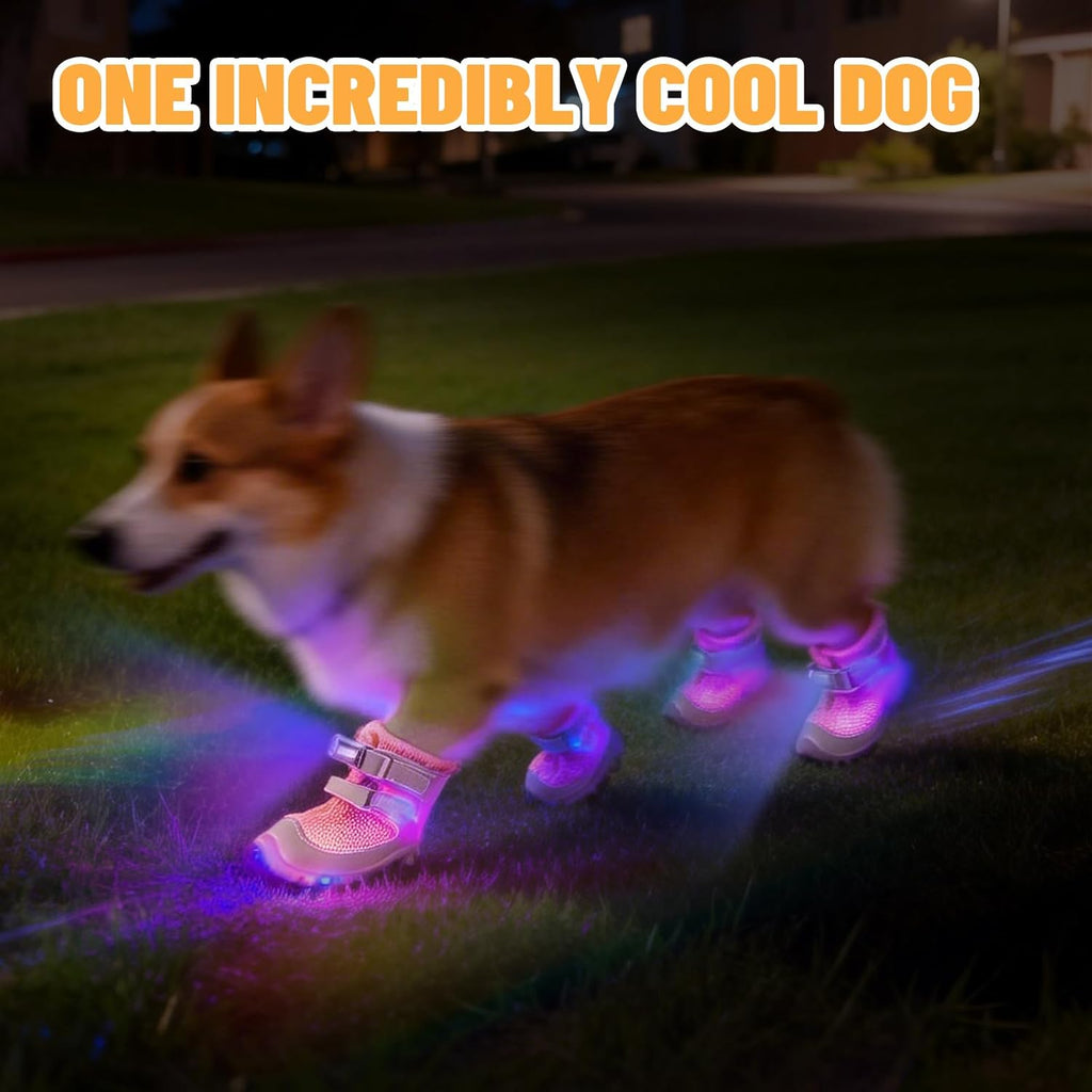 LED Light-Up Dog Boots – 4-Pack, 3 Sizes, 2 Colors